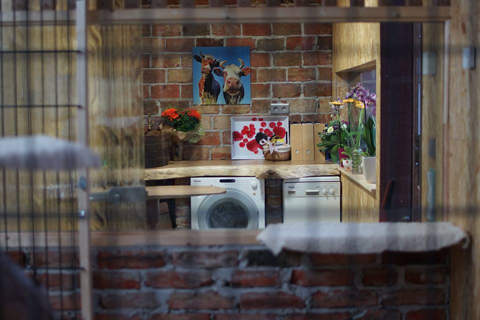 Katzenpension Mäuseloch Leipzig Außenanlage4