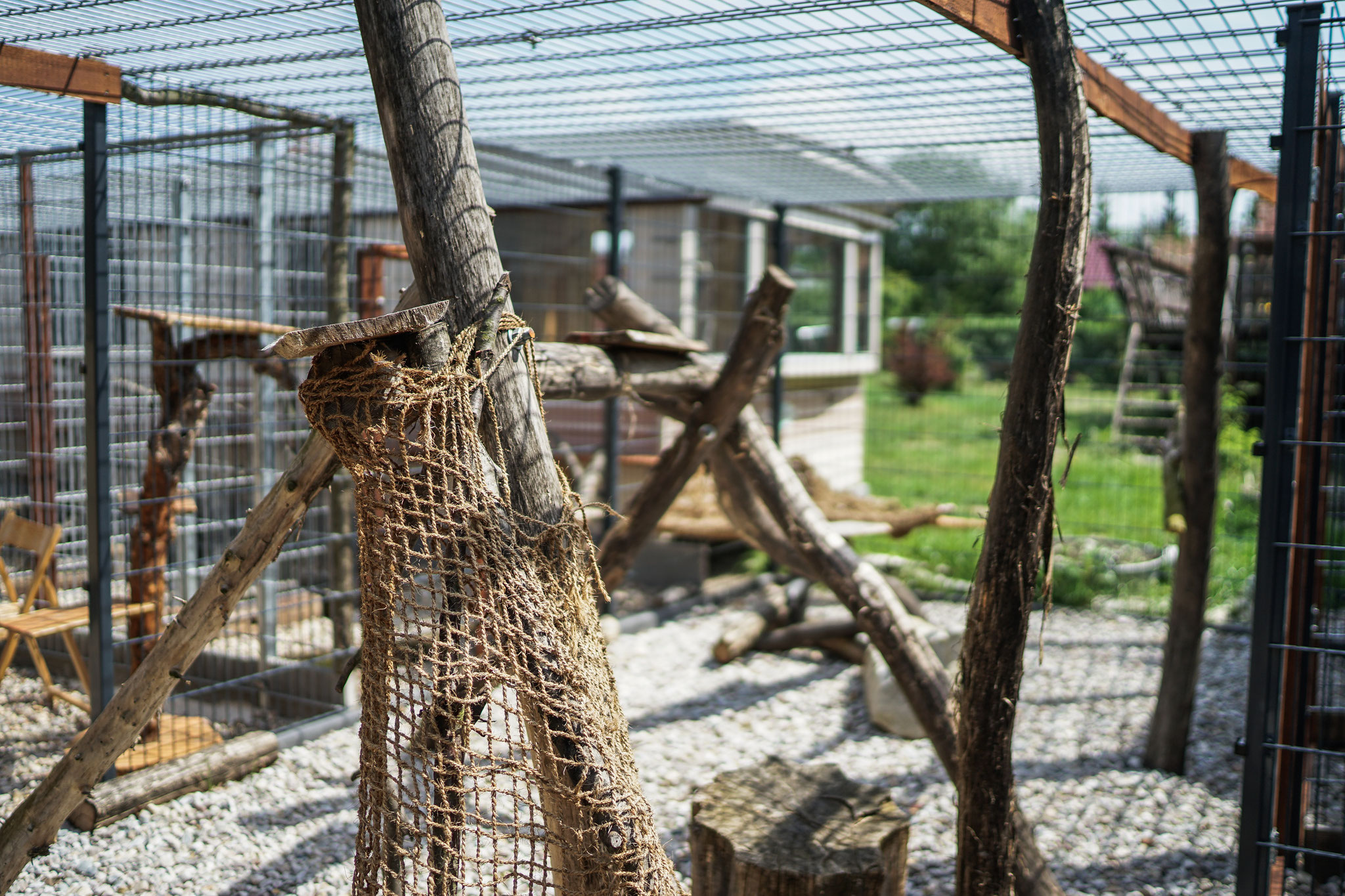 Katzenpension Mäuseloch Leipzig Außenanlage2