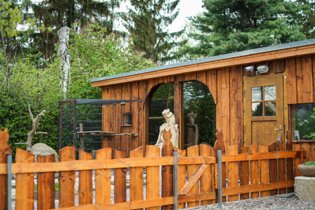 Katzenpension Mäuseloch Leipzig Außenanlage1